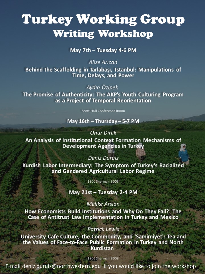 flyer for turkey working group writing workshop